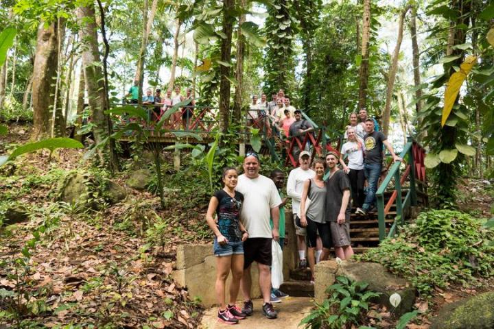 people in the rainforest