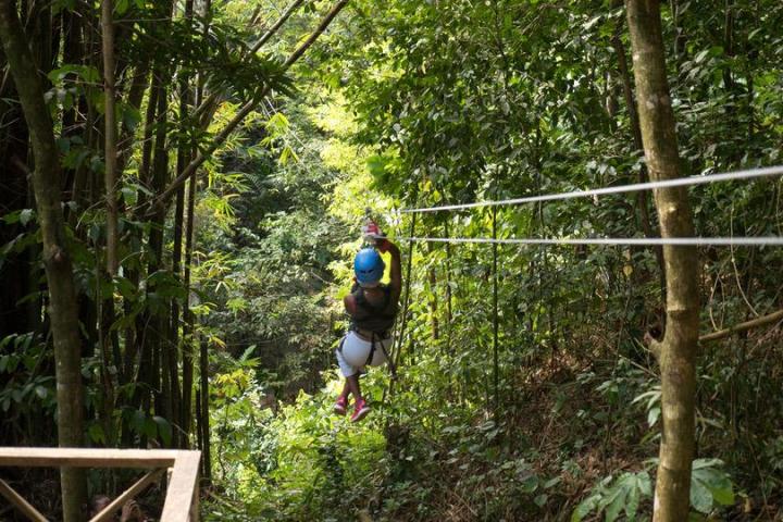 Quickly Ziplining through the trees in the rainforest