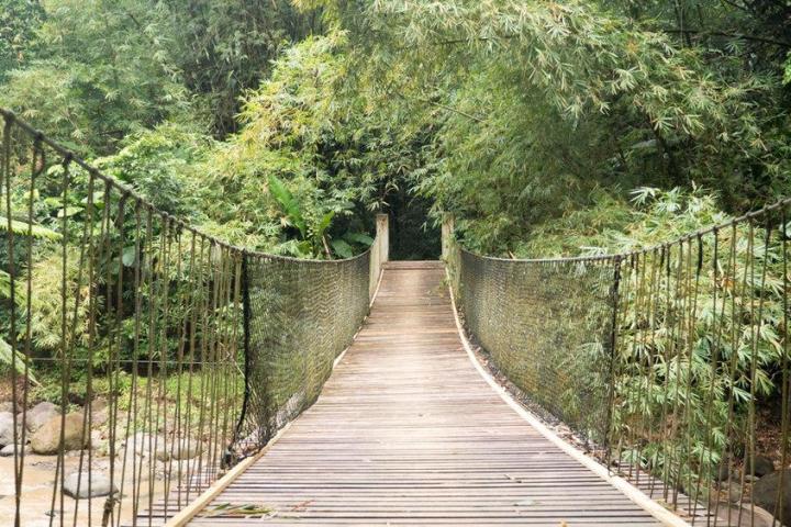 A rope bridge in St. Lucia