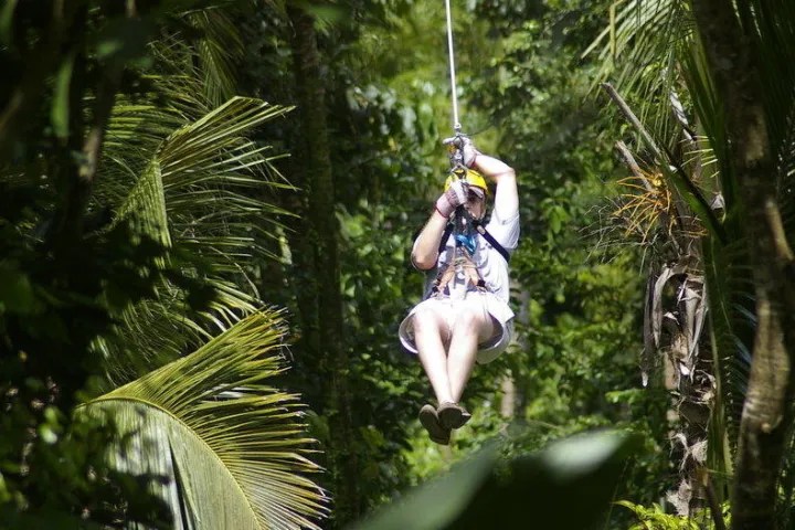a statue of a person in a tree