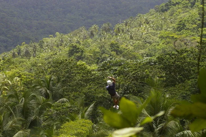 View of Adventure Tree park Ziplining