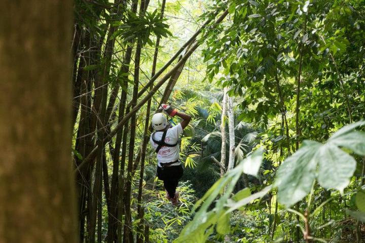 Man ziplining through the rainforest
