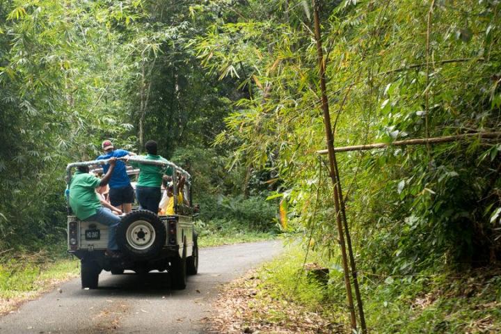 Jeep Safari Rainforest
