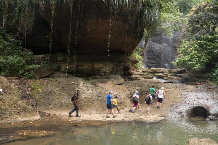 Rainforest River walking