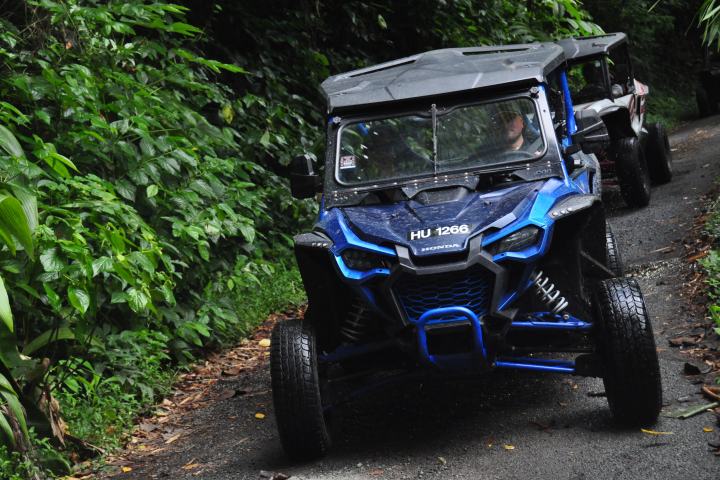 Two off-road vehicles driving on a narrow jungle path lined with dense foliage.