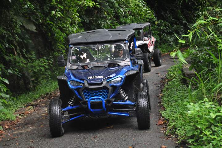 Two off-road vehicles driving on a narrow, lush forest trail.