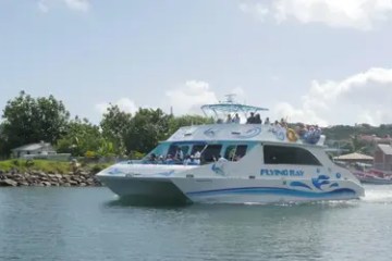 White ferry boat named 'Flying Ray' with people onboard in sunny waterside setting.